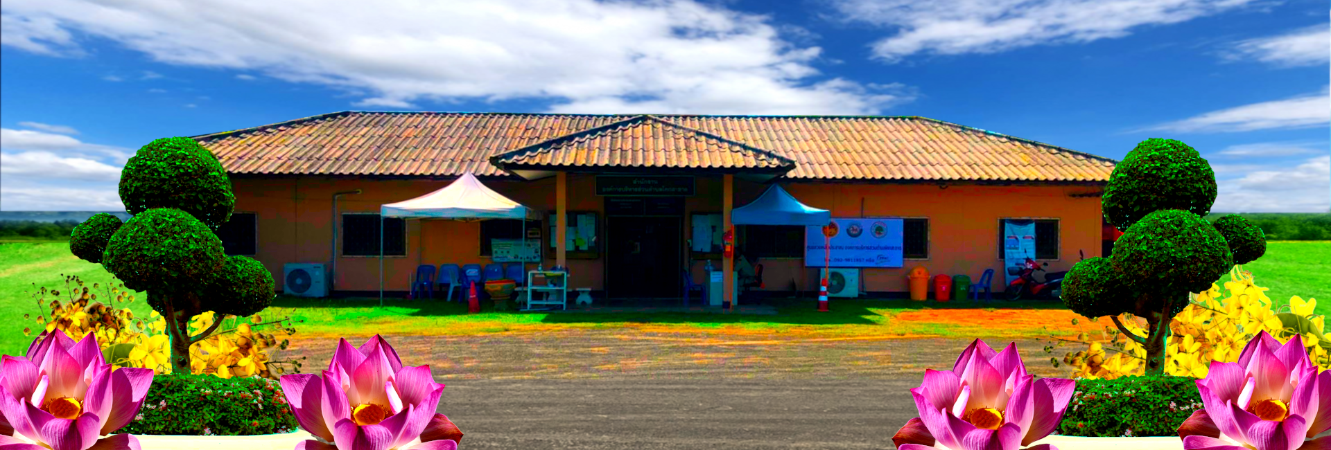 พื้นหลัง